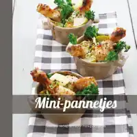 MINI-PANNETJES