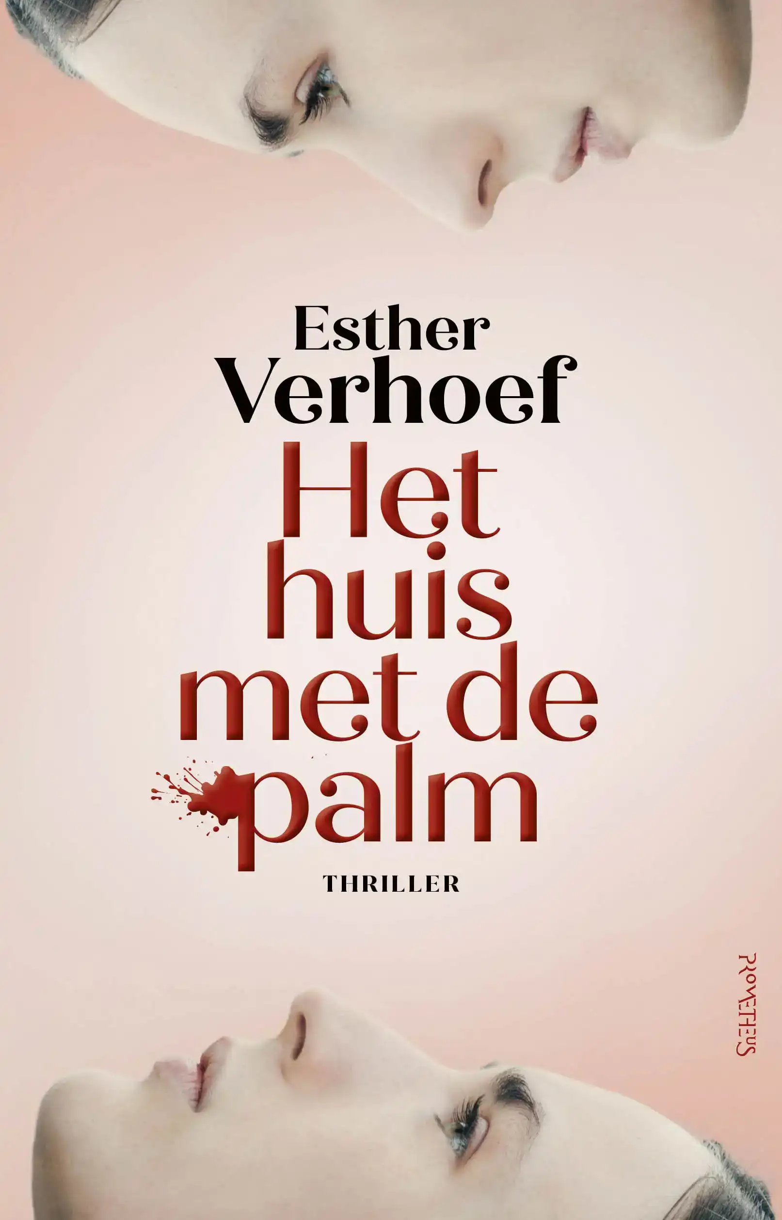 HET HUIS MET DE PALM