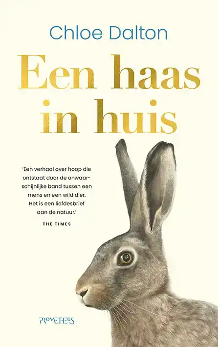 EEN HAAS IN HUIS