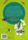 DE LEUKSTE INSECTENGIDS VOOR KIDS