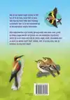 VOGELS HERKENNEN EN OBSERVEREN