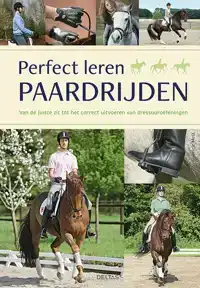 PERFECT LEREN PAARDRIJDEN