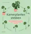 KAMERPLANTEN STEKKEN