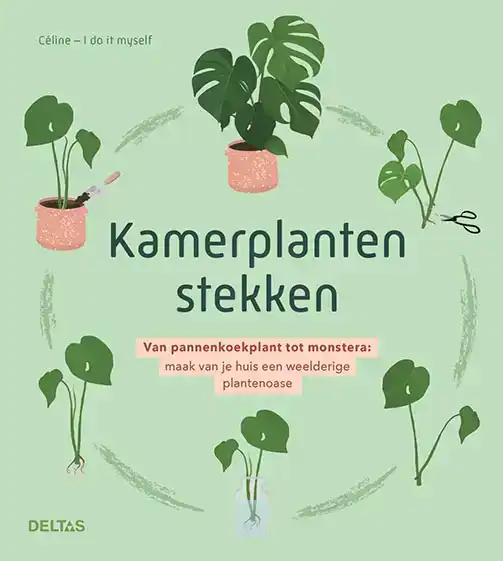 KAMERPLANTEN STEKKEN