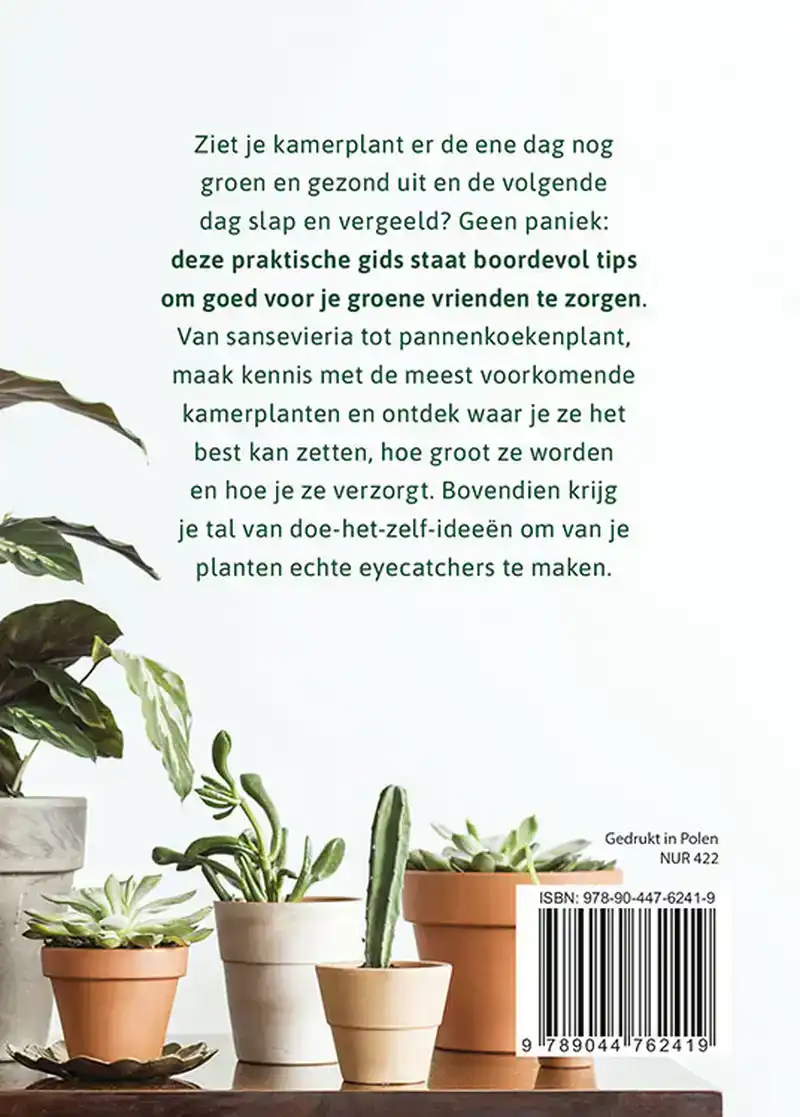 BASISGIDS KAMERPLANTEN