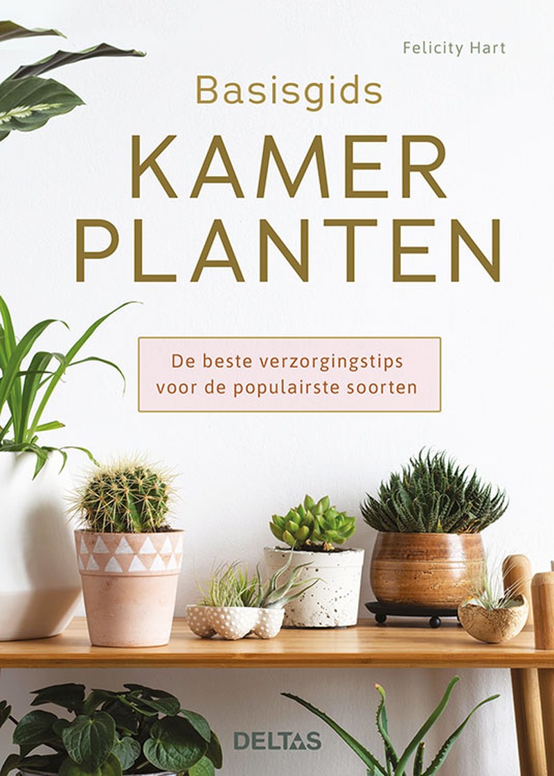 BASISGIDS KAMERPLANTEN