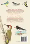 VELDGIDS - VOGELS HERKENNEN
