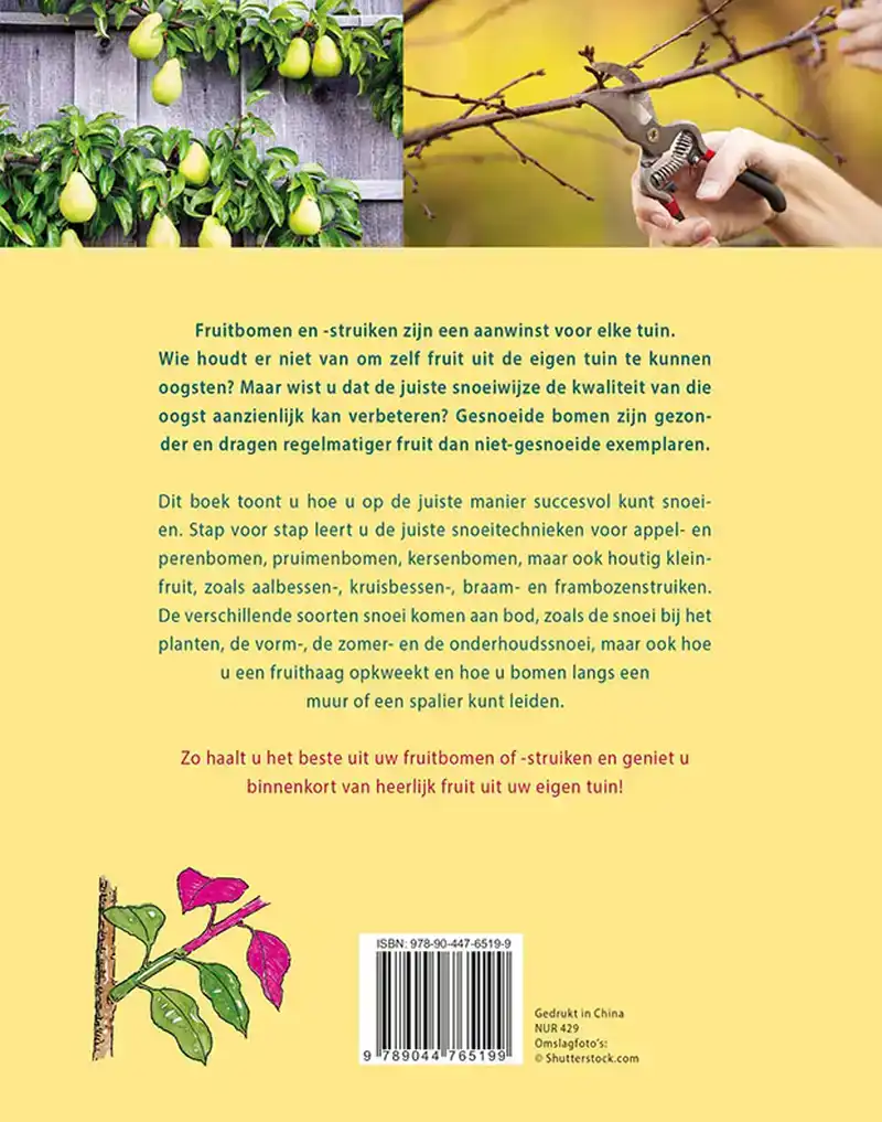 BASISHANDBOEK FRUITBOMEN SNOEIEN