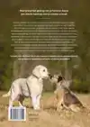 HONDEN BETER BEGRIJPEN