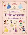 HET MAGISCHE PRINSESSEN SPROOKJESBOEK