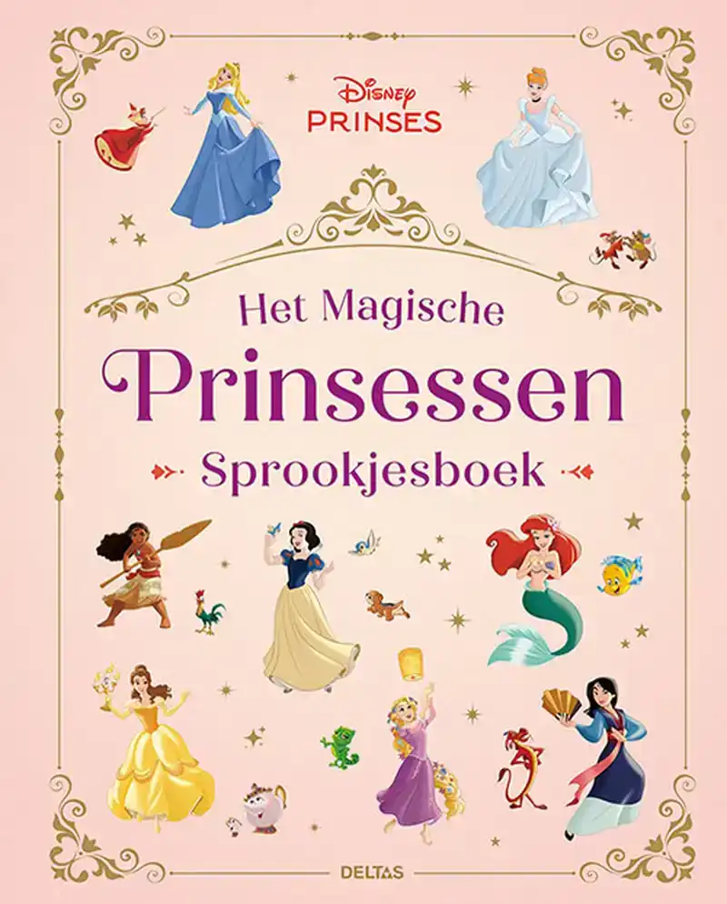 HET MAGISCHE PRINSESSEN SPROOKJESBOEK