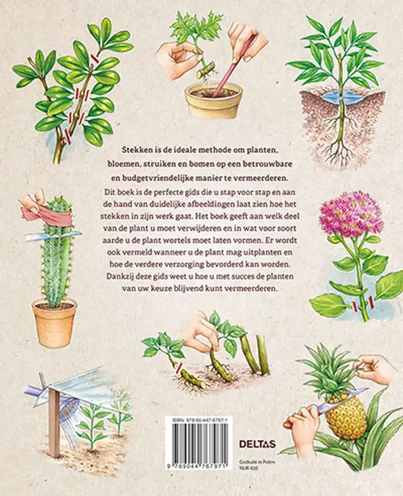 HANDBOEK STEKKEN VAN A TOT Z