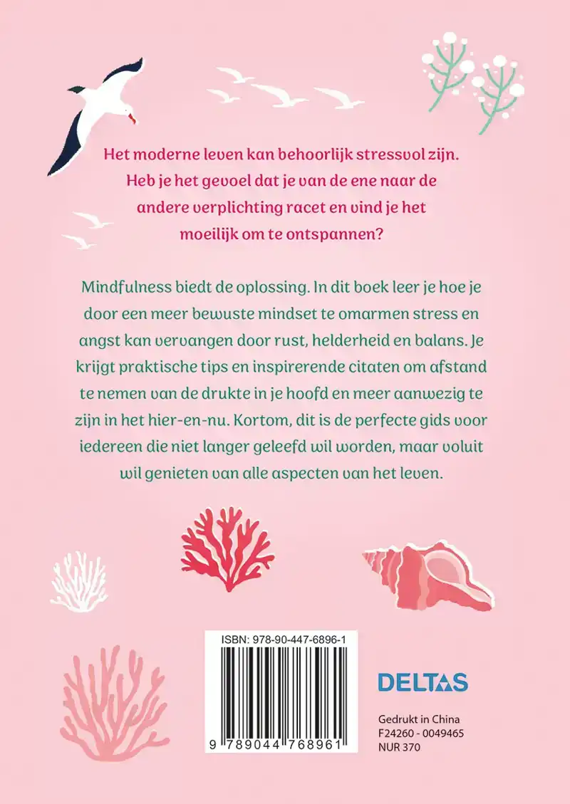 HET PAD NAAR MINDFULNESS