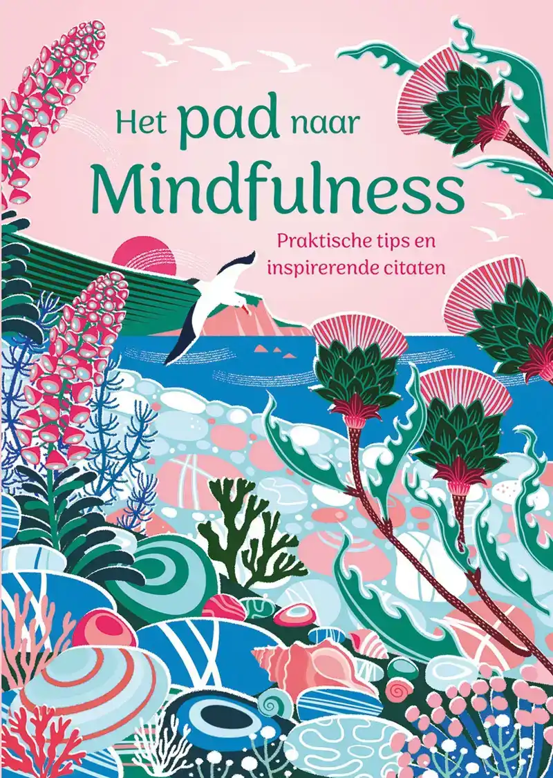 HET PAD NAAR MINDFULNESS
