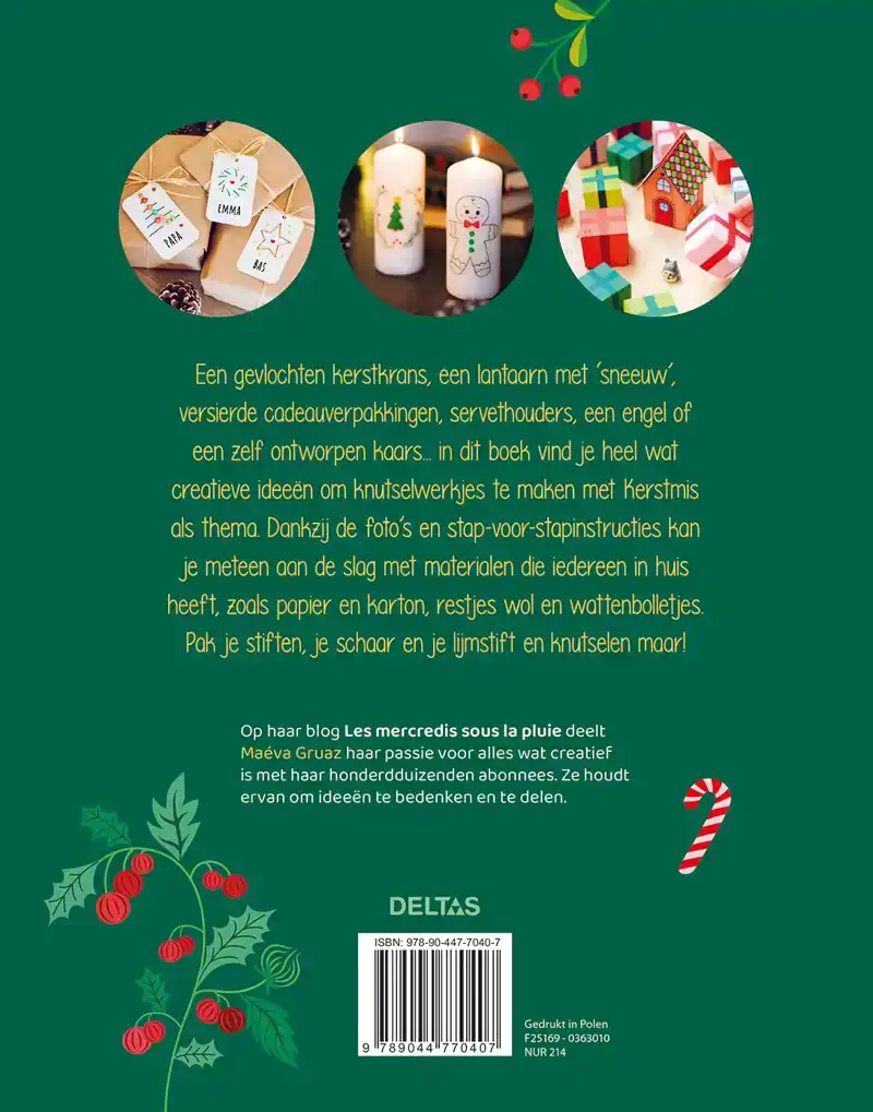 HET MOOISTE KERSTKNUTSELBOEK