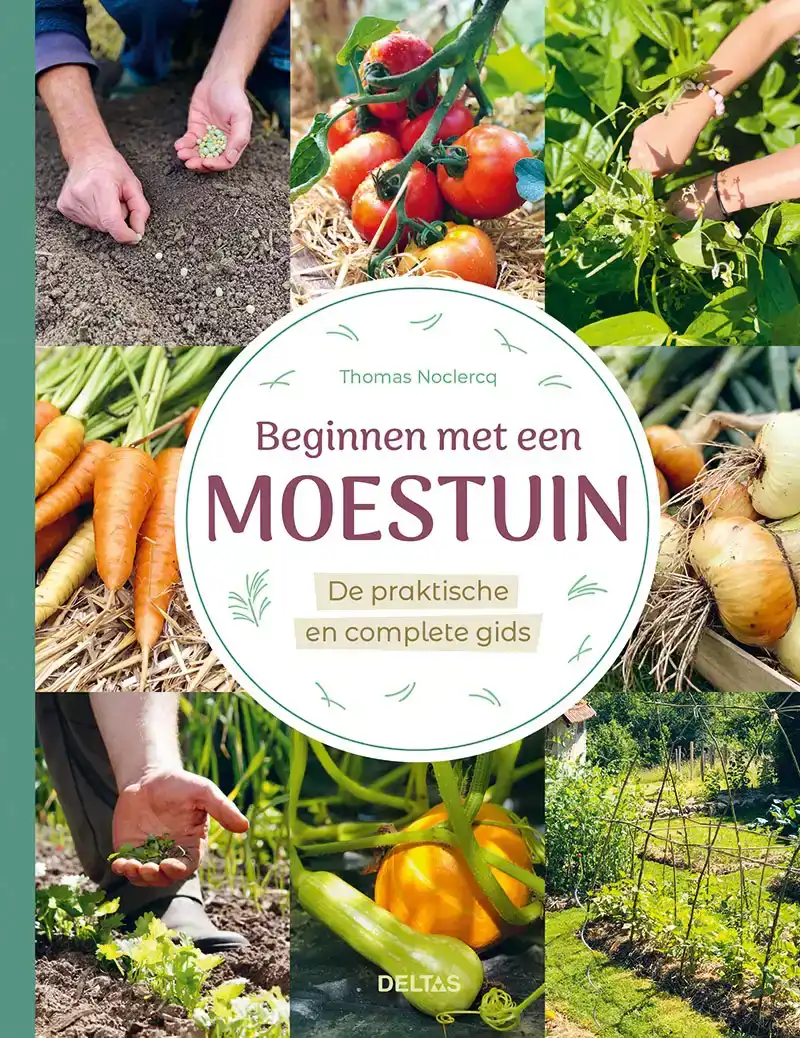 BEGINNEN MET EEN MOESTUIN