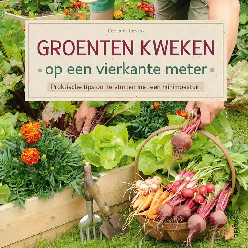 GROENTEN KWEKEN OP EEN VIERKANTE METER