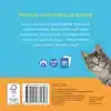 MATCH THE CATS! - MEMOSPEL