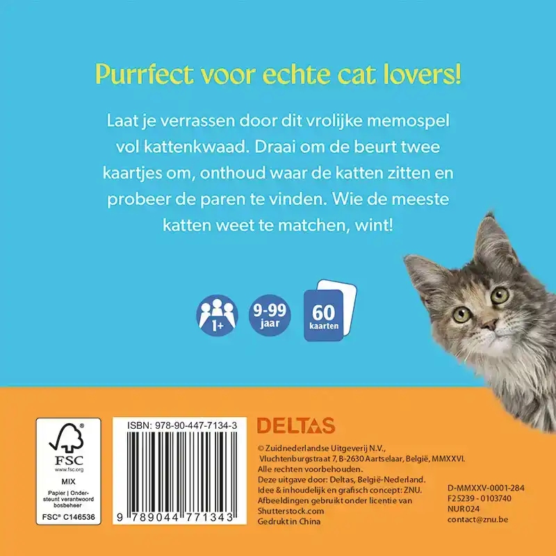MATCH THE CATS! - MEMOSPEL