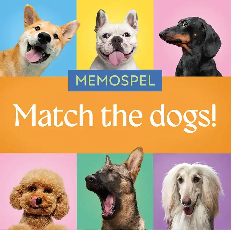 MATCH THE DOGS! - MEMOSPEL