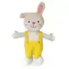 RIKKI HANDPOP