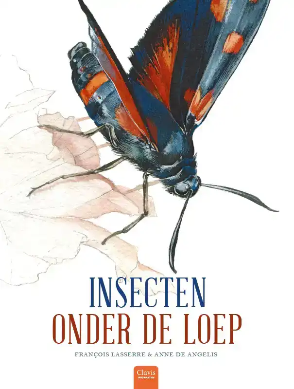 INSECTEN ONDER DE LOEP