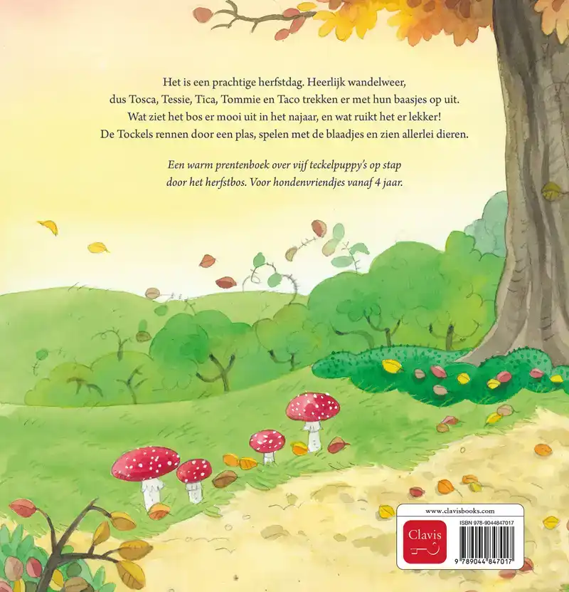 DE TOCKELS IN HET BOS