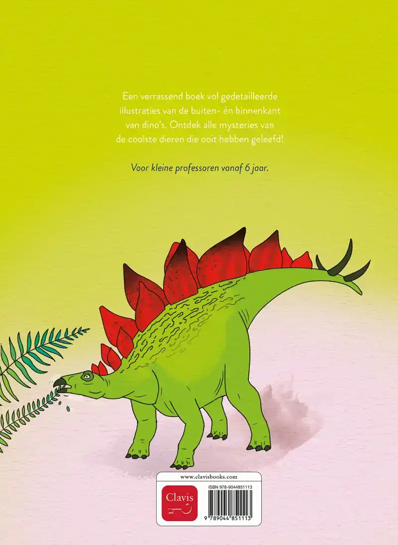 DINO'S VANBINNEN EN VANBUITEN