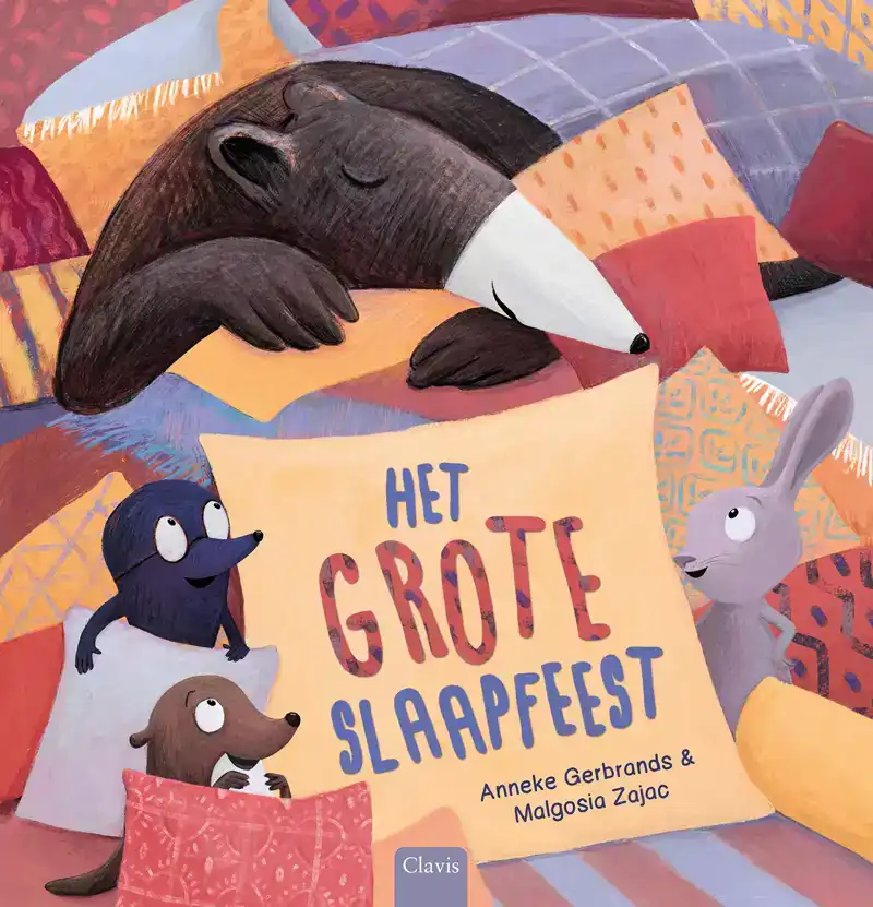 HET GROTE SLAAPFEEST