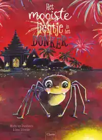 HET MOOISTE LICHTJE IN HET DONKER