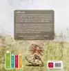 AMFIBIEEN EN REPTIELEN