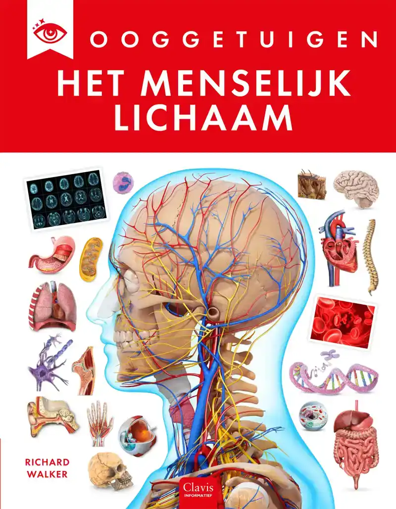 HET MENSELIJK LICHAAM