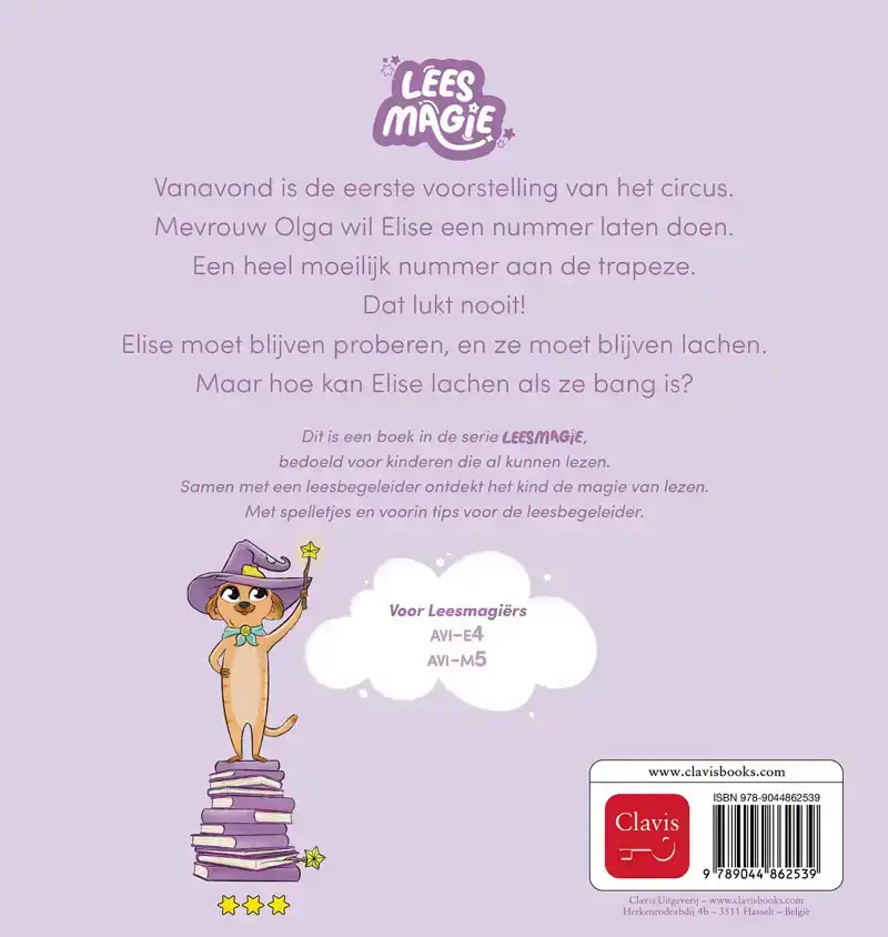 HET MASKER VAN ELISE