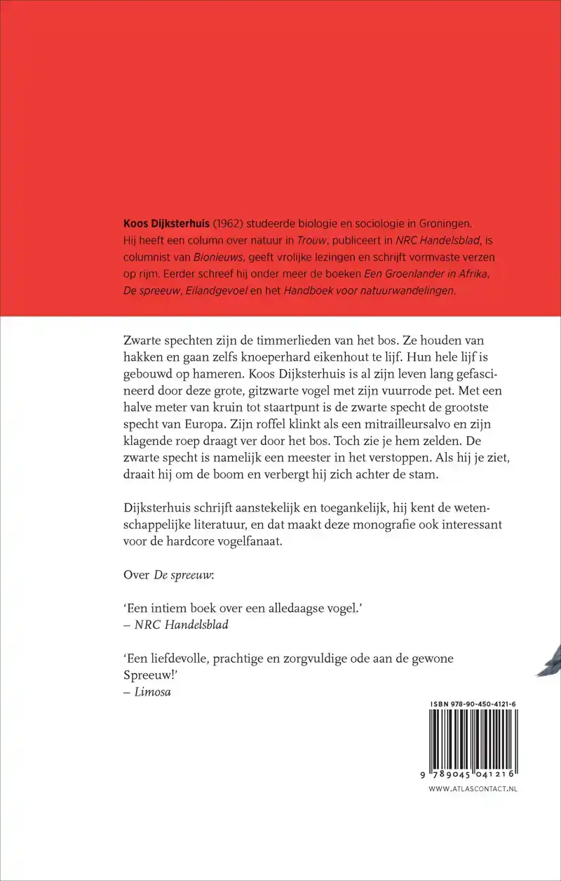 DE ZWARTE SPECHT