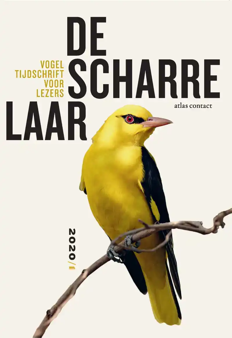 DE SCHARRELAAR