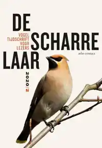 DE SCHARRELAAR