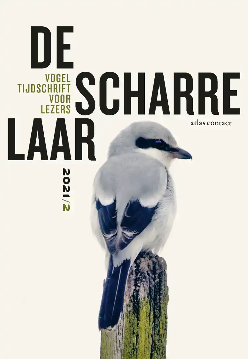 DE SCHARRELAAR