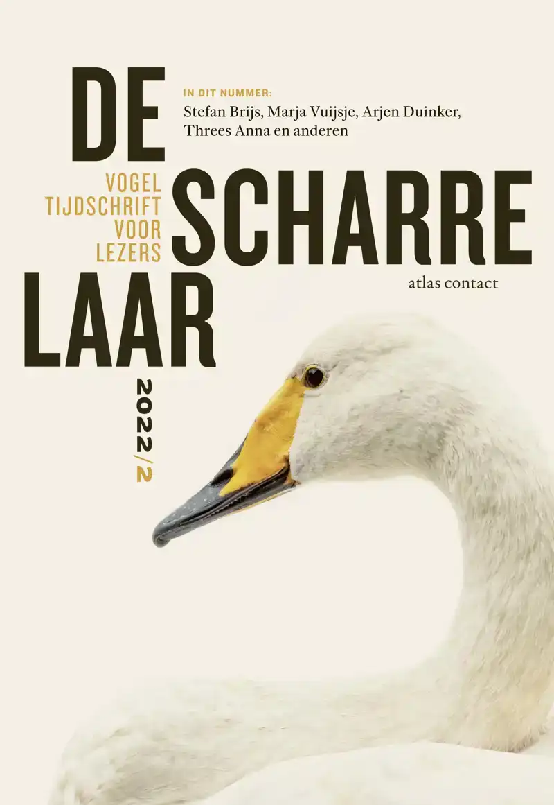 DE SCHARRELAAR