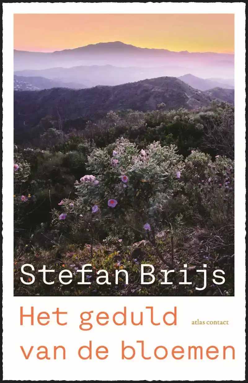 HET GEDULD VAN DE BLOEMEN