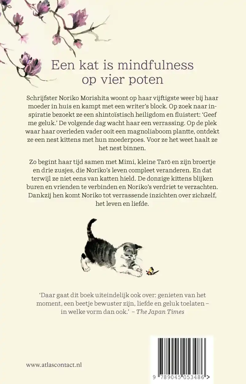 DE MAGNOLIAKATTEN