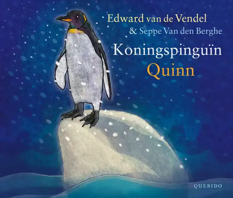 KONINGSPINGUIN QUINN