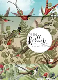 MIJN BULLET JOURNAL