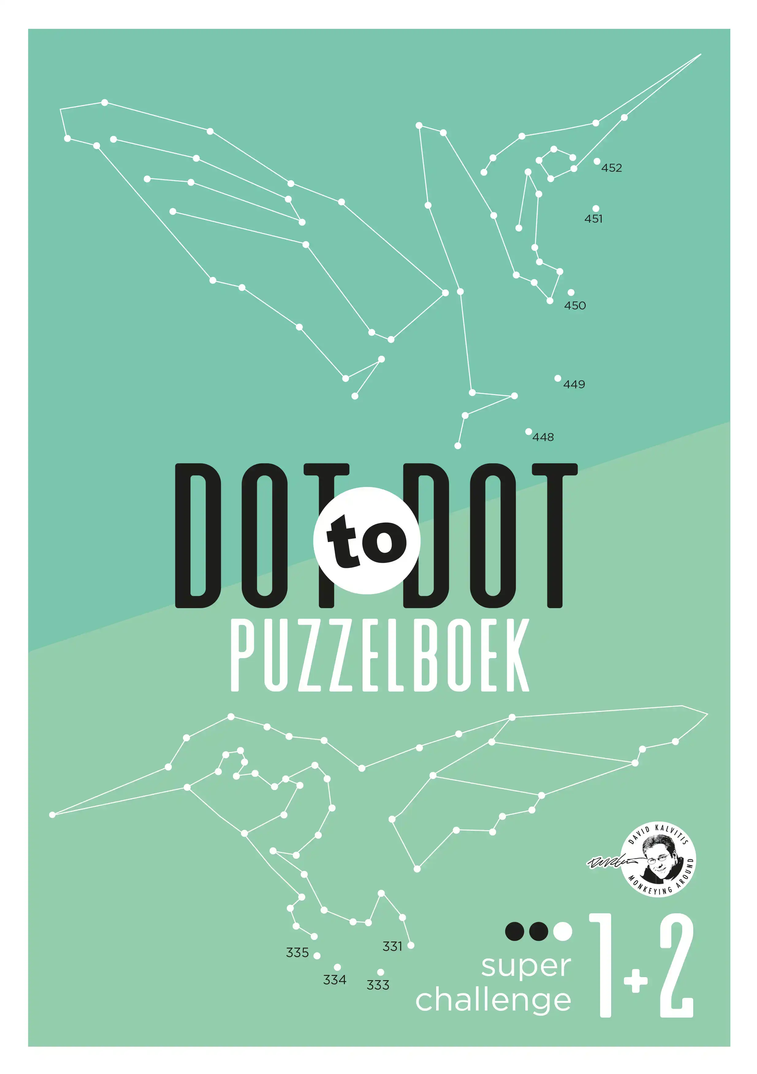 DOT TO DOT PUZZELBOEK