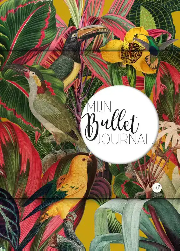 MIJN BULLET JOURNAL