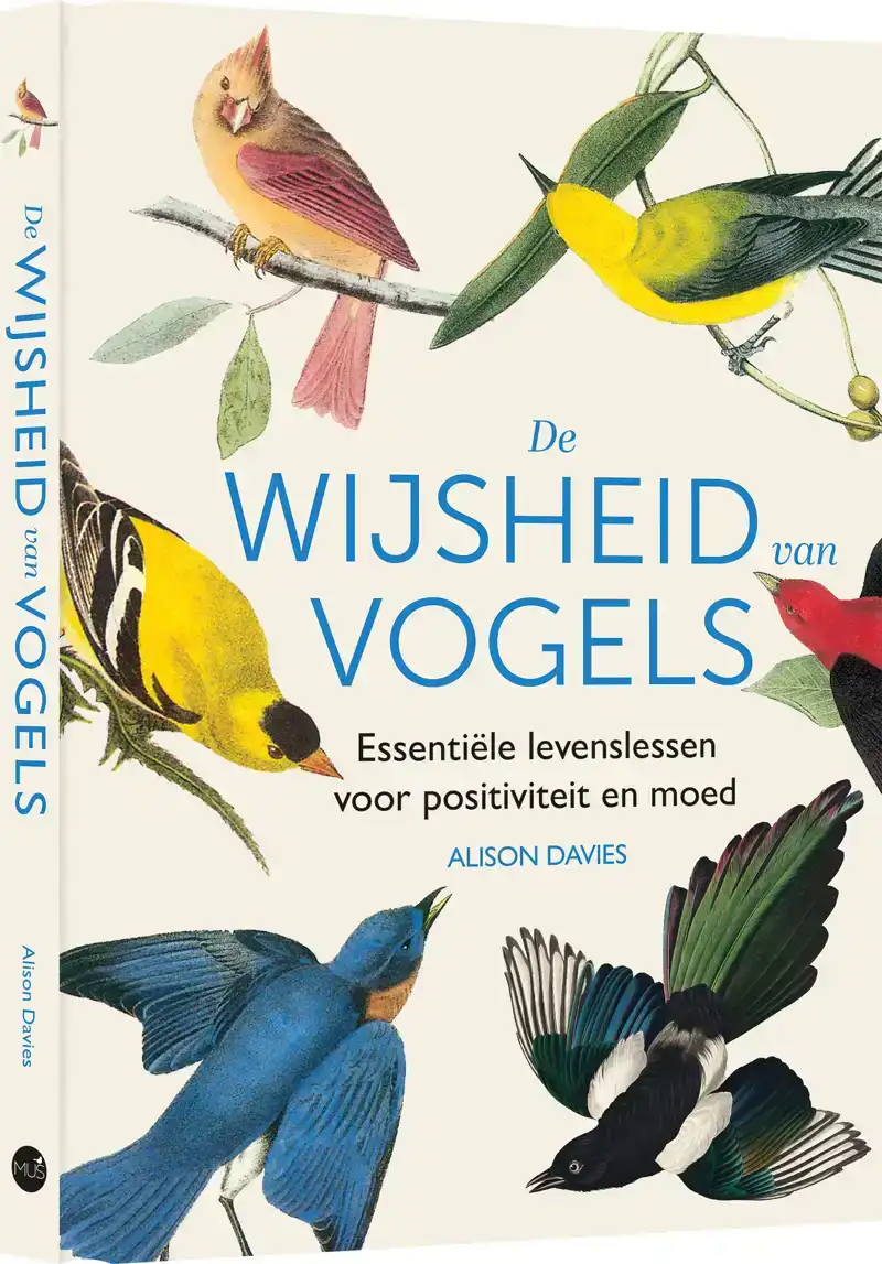 DE WIJSHEID VAN VOGELS