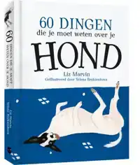 60 DINGEN DIE JE MOET WETEN OVER JE HOND