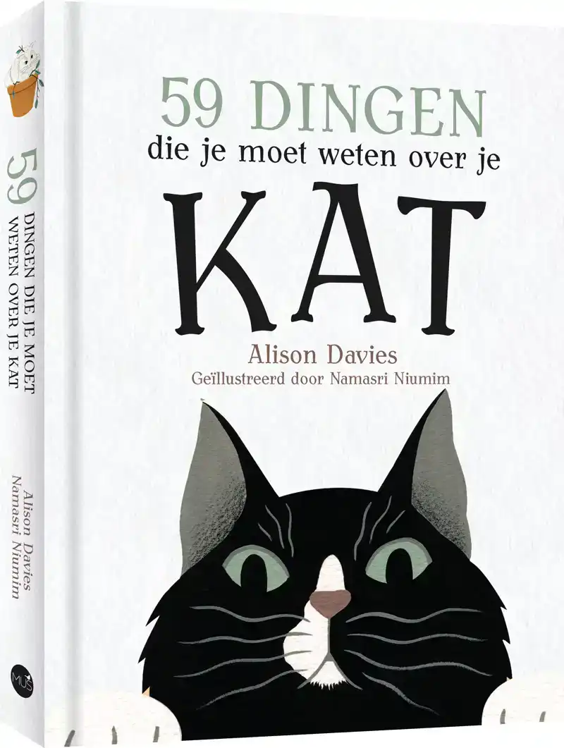 59 DINGEN DIE JE MOET WETEN OVER JE KAT