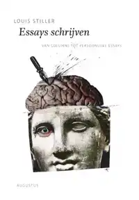 ESSAYS SCHRIJVEN