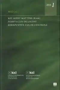 KEY AUDIT MATTERS (KAM) - POINTS CLES DE L'AUDIT - KERNPUNTE