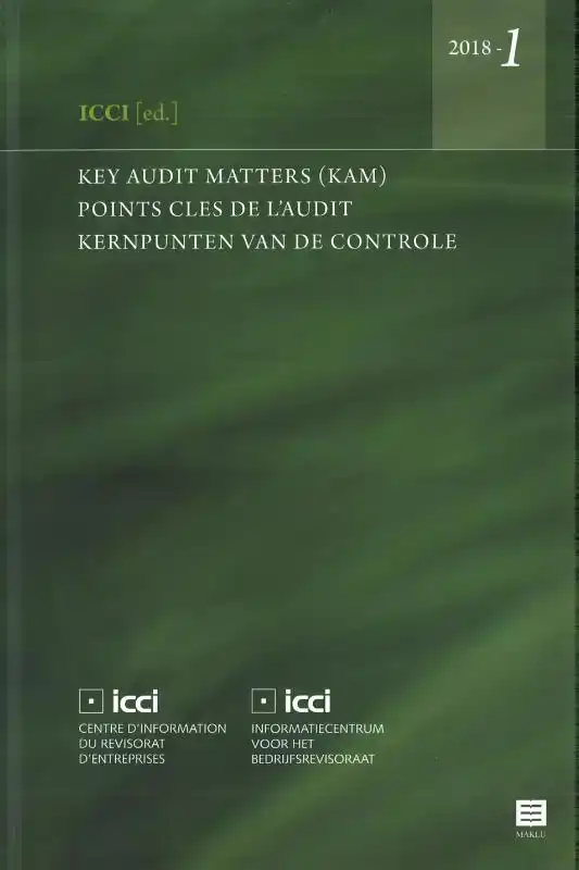 KEY AUDIT MATTERS (KAM) - POINTS CLES DE L'AUDIT - KERNPUNTE